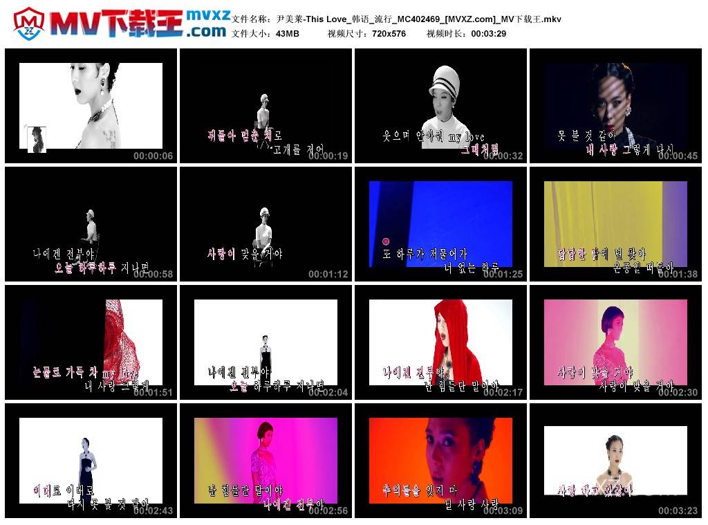尹美莱-This Love_韩语_流行_MC402469